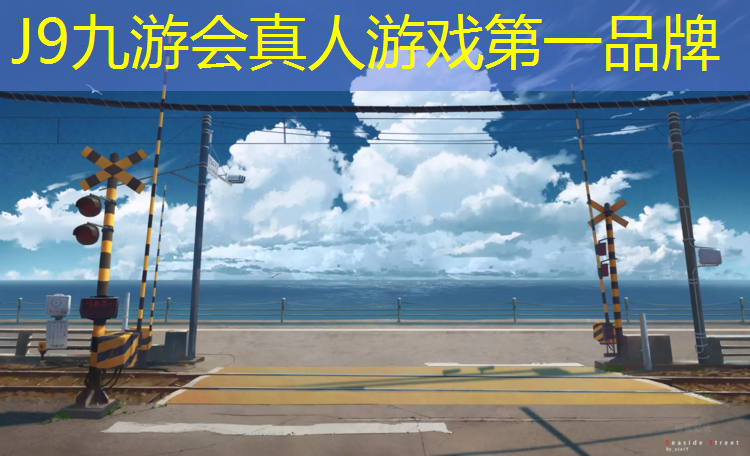 J9九游会真人游戏第一品牌：什么是网球网球怎么打的