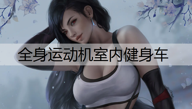全身运动机室内健身车