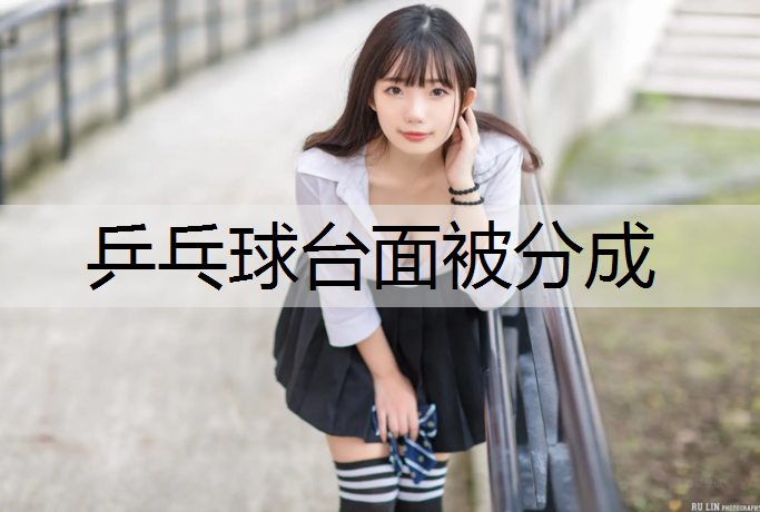 乒乓球台面被分成