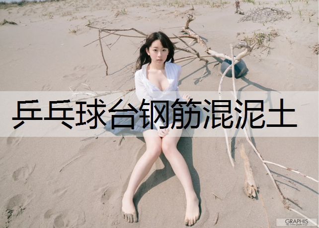 乒乓球台钢筋混泥土