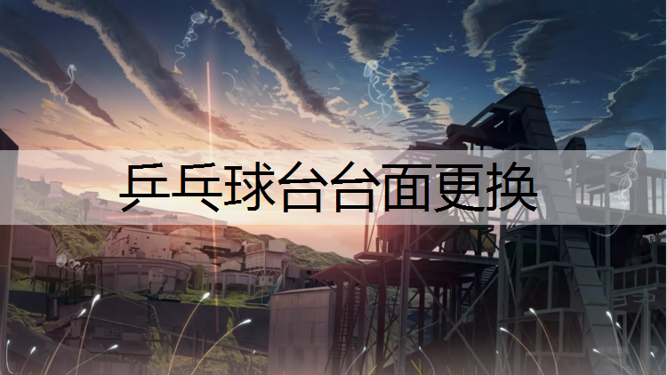 乒乓球台台面更换
